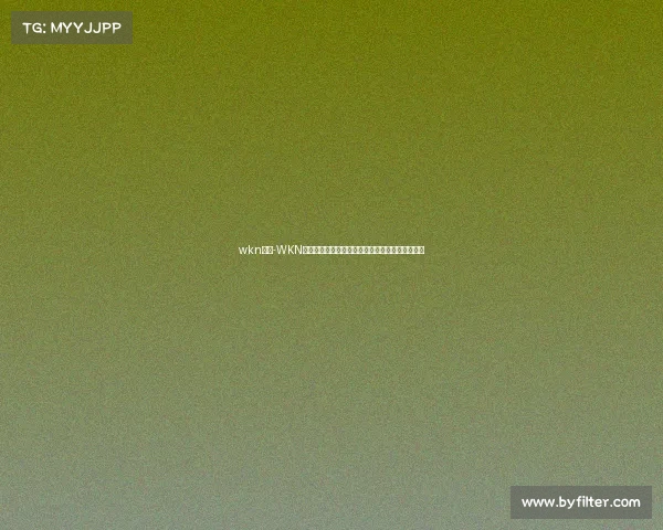 wkn赛事-WKN世界顶级搏击盛典全球高手齐聚巅峰激战荣耀之路