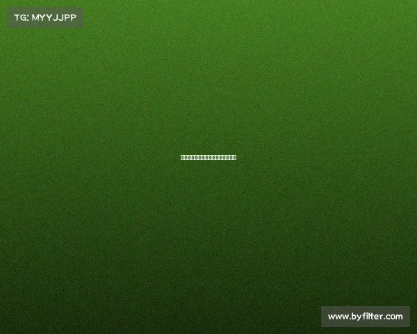 乐虎做过哪些赛事、乐虎哪年推出的